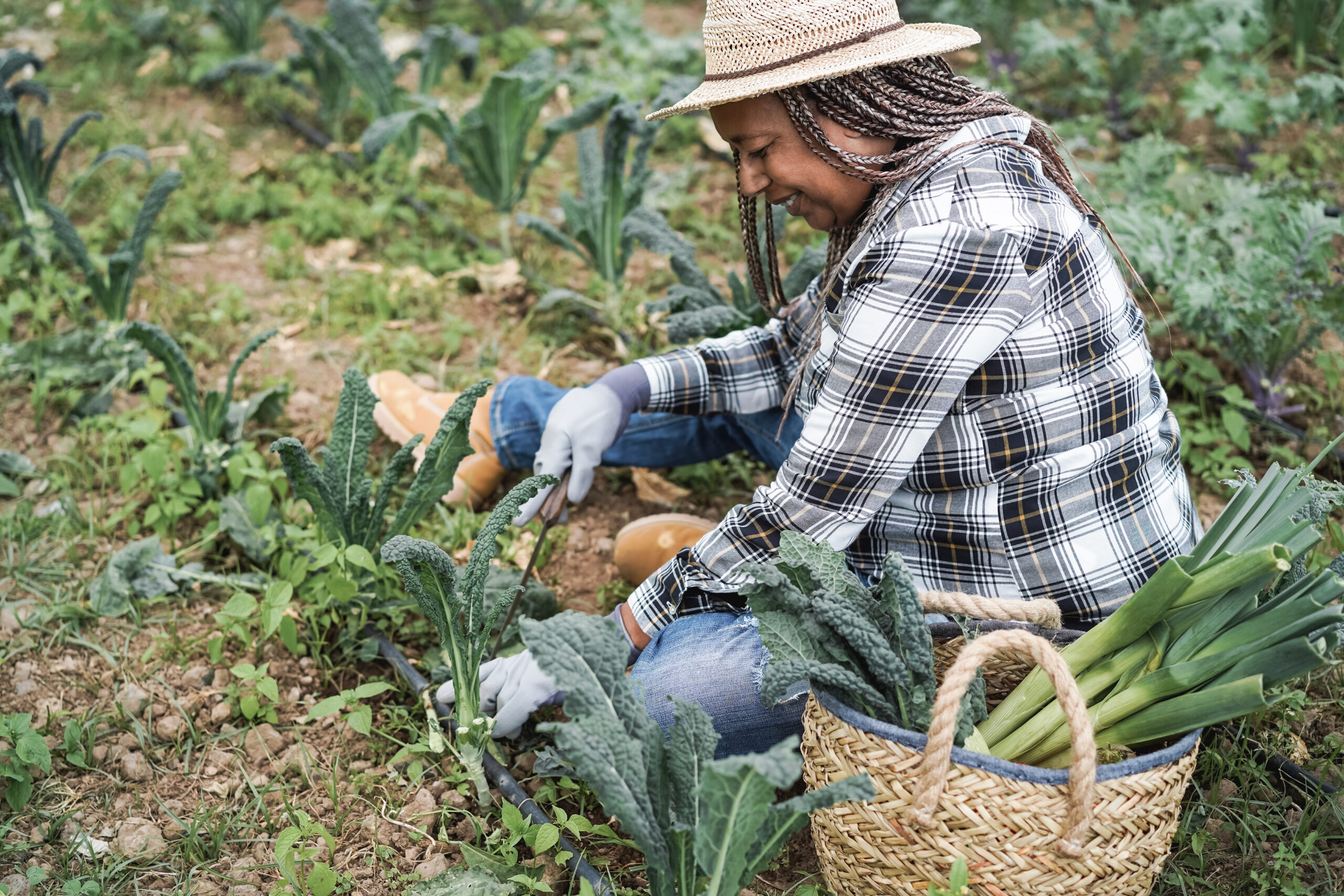 older black woman farming
